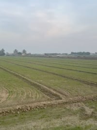 متوفر دونمين طابو زراعي سند ٢٥ يتوفر فيها ماء اسالة كهرباء وقريبة على ...