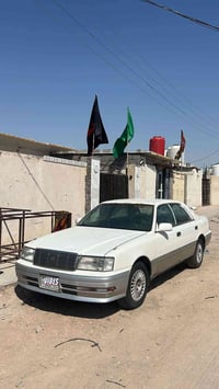 للبيع راس الثور كصتين ونقل السعر ٣٥ واتساب فقط ٠٧٧٤١٢٥٣٨٩٧    مراوس ار...