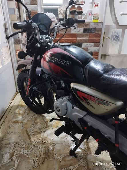 بوكسر مديل 20 دراجة بيهة خيط تبخير اوراق اصولي سعر 800 وبيهة مجال مكان شعب ***********2
