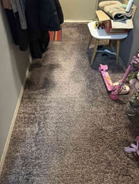 كاربت ممر • ١٠٠ • ٣ قطع