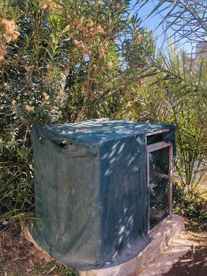 قفص للبيع ***********
