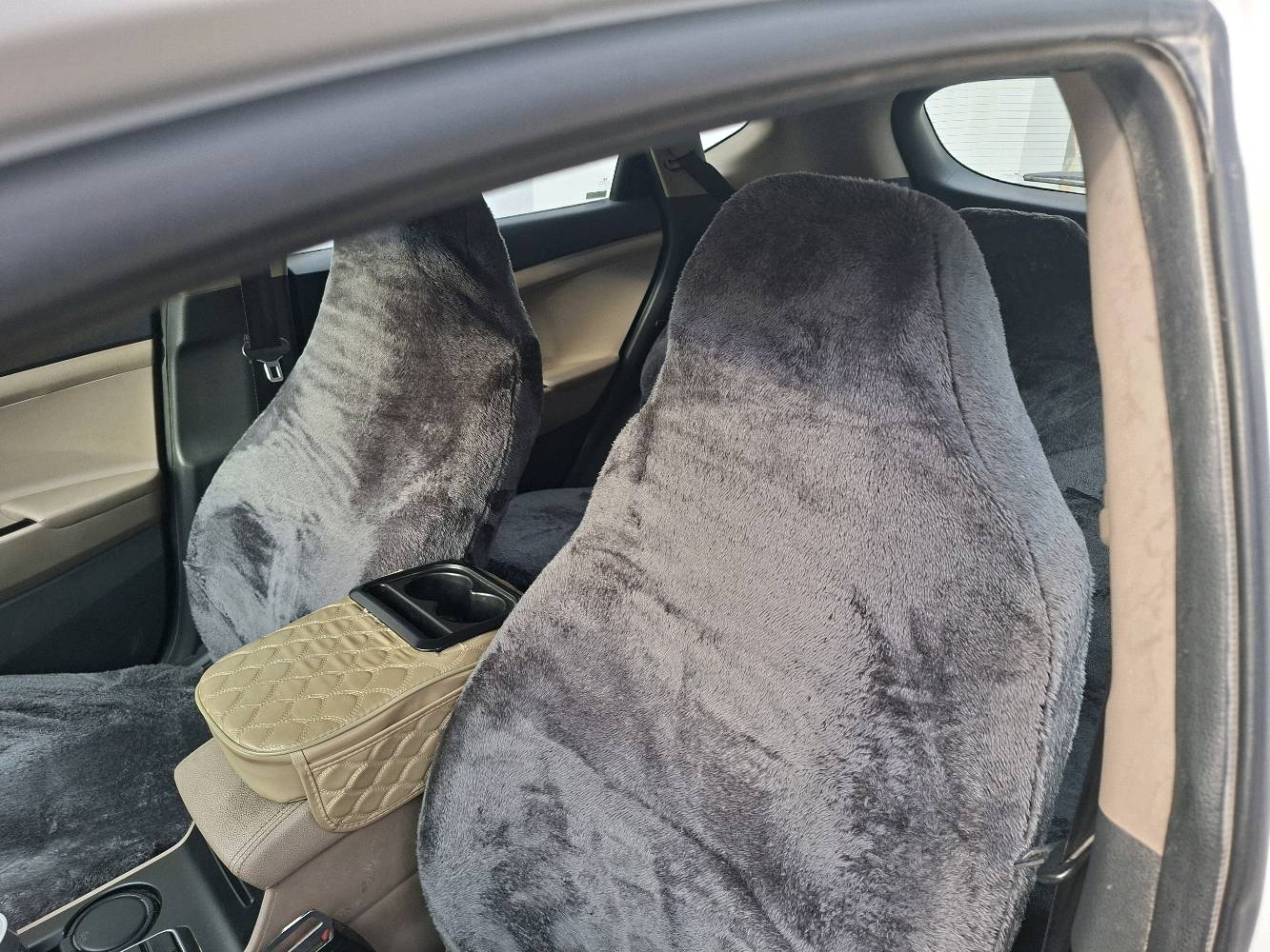 توسان للبيع رقم بغداد مكاني النجف

