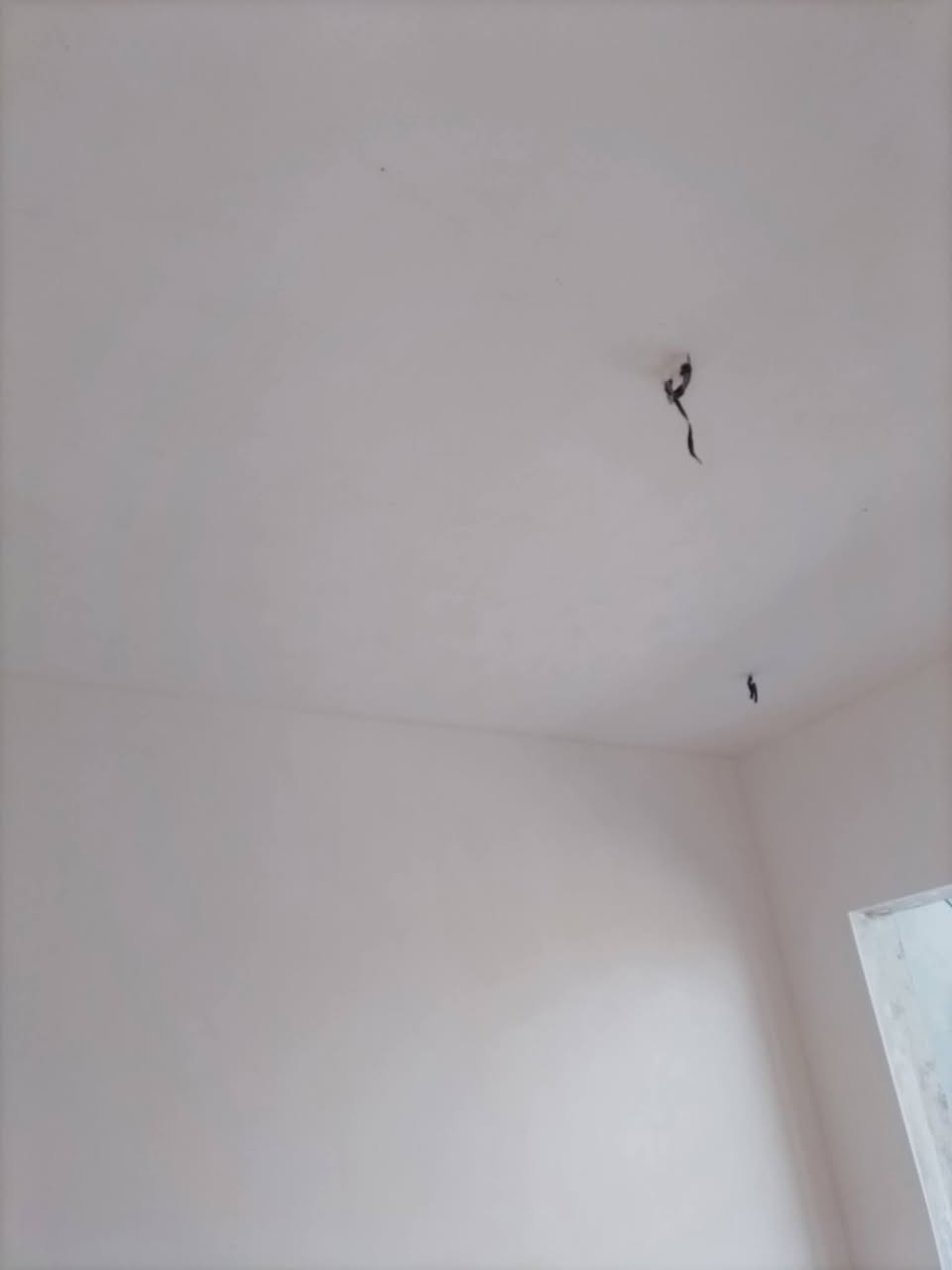 اسلام عليكم اني لباخ جص متفرق اي شخص عنده بيت يريد لباخ اني موجود وتدلل هذا رقمي ***********
