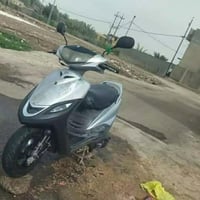 ماكس فحل • بلادية • شرط الفحص
