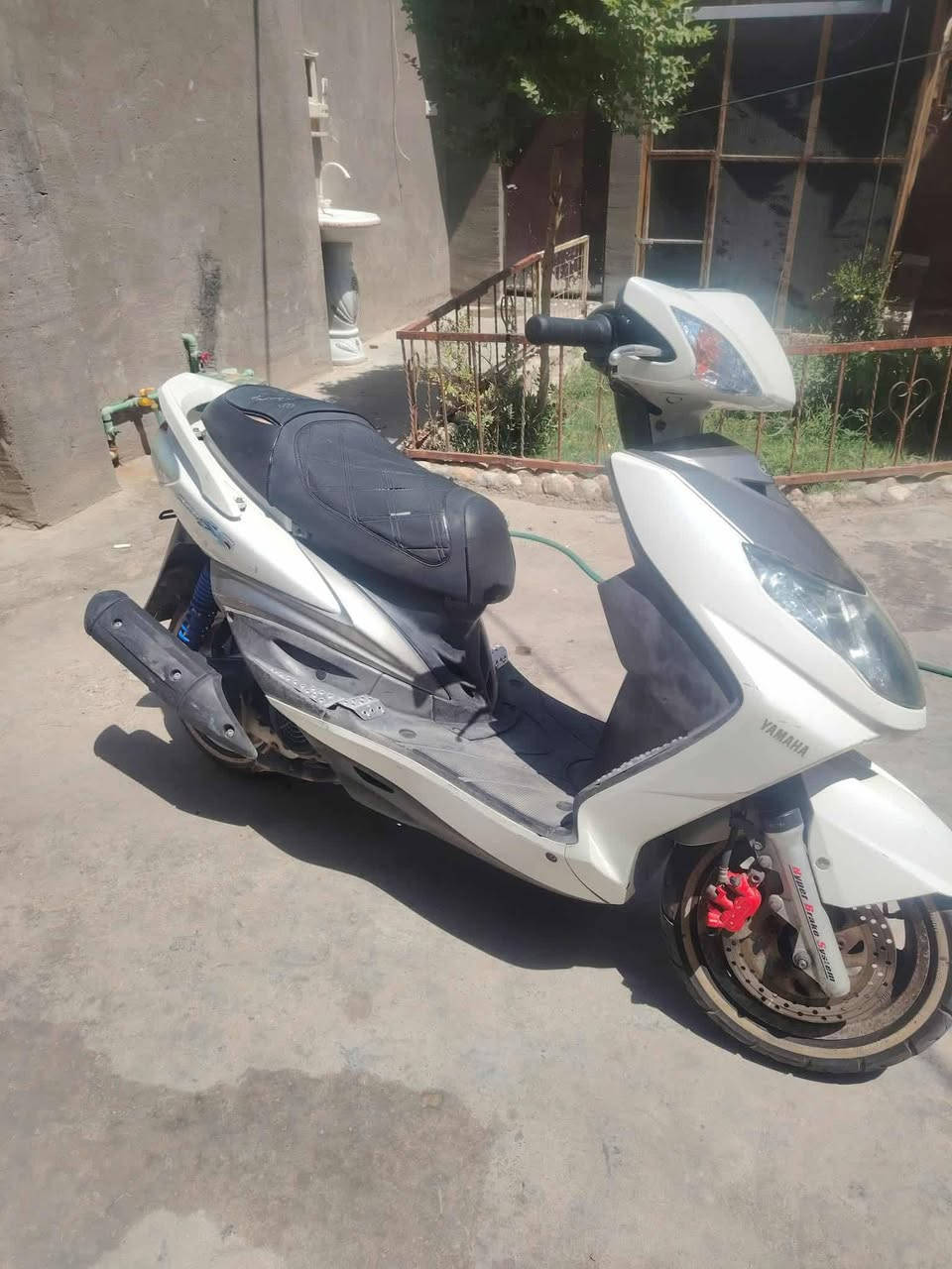 سكنس فحل نوزل
كفاله عامه 2009 المكان بغداد الامين الثانيه 

فقط دشبول طافي كلشي شغال بيها 

السعر ٨٠٠  ***********  موجود فيس وتساب وخط
