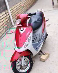 ماكس منغولي • كفاله عامه • طوريج رجيبه