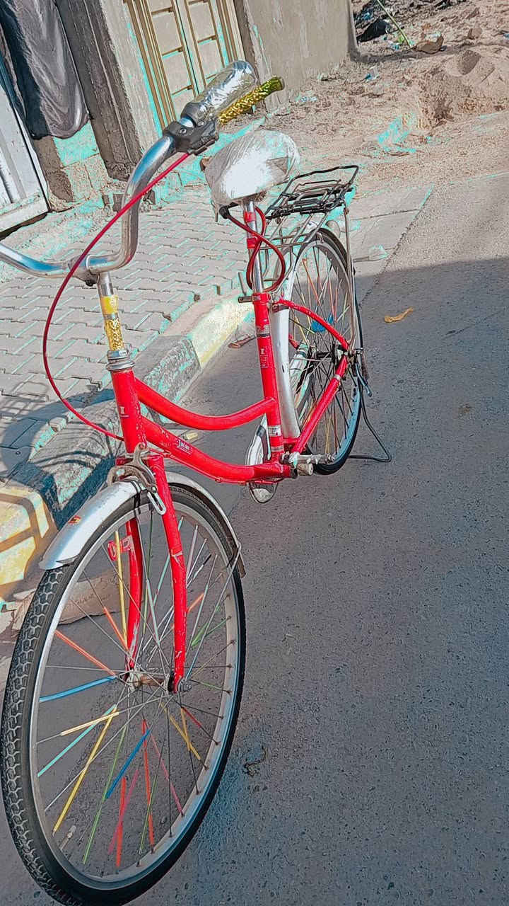 بايسكل حجم 26 نضافه فول مكينه جديده كلشي مابي السعر 100وبي مجال للطيبين مكاني بغداد الحسينيه استفسار اتصال هاذه الرقم 7715924794


**إذا كنت صاحب هذا الإعلان وتريد حذفه لأي سبب، رجاءا أرسل رسالة إلى الدعم الفني**