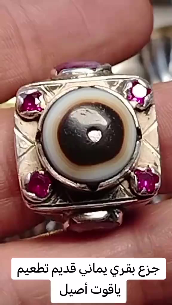 متع نظرك مع الأصيل القديم يماني بقري تطعيم ياقوت 4 بورمي 2 أفريقي


**إذا كنت صاحب هذا الإعلان وتريد حذفه لأي سبب، رجاءا أرسل رسالة إلى الدعم الفني**