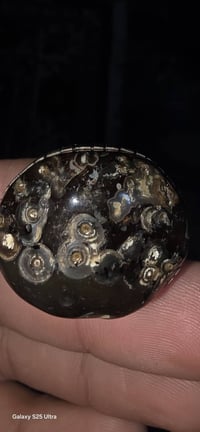 محابس • فضه اصلي • الرمادي