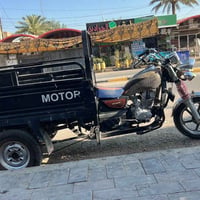 ستوته • شاصي ١٢ • غراضه ٢٤