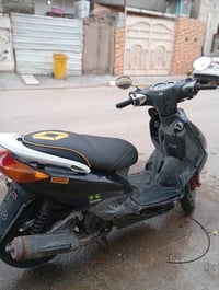 شباب سكنس نثية 140 غراضها كلة بلادي وكلة مكفول مكاني حي الجهاد بل ملحا...