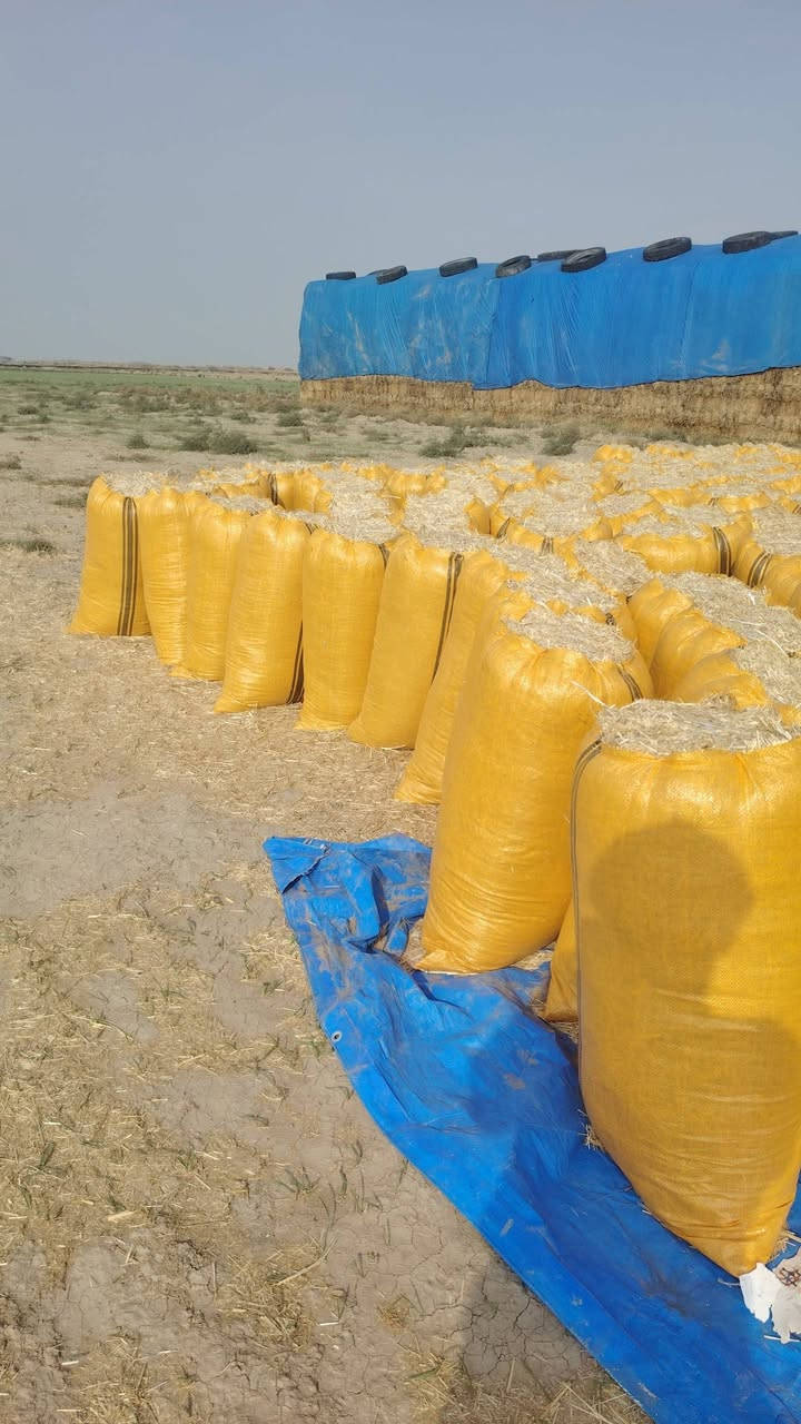 يوجد لدينا تبن هاي قياسه  #عرض60 #طول 90 #الزوج ب 4 واصل للاستفسار
***********
***********
