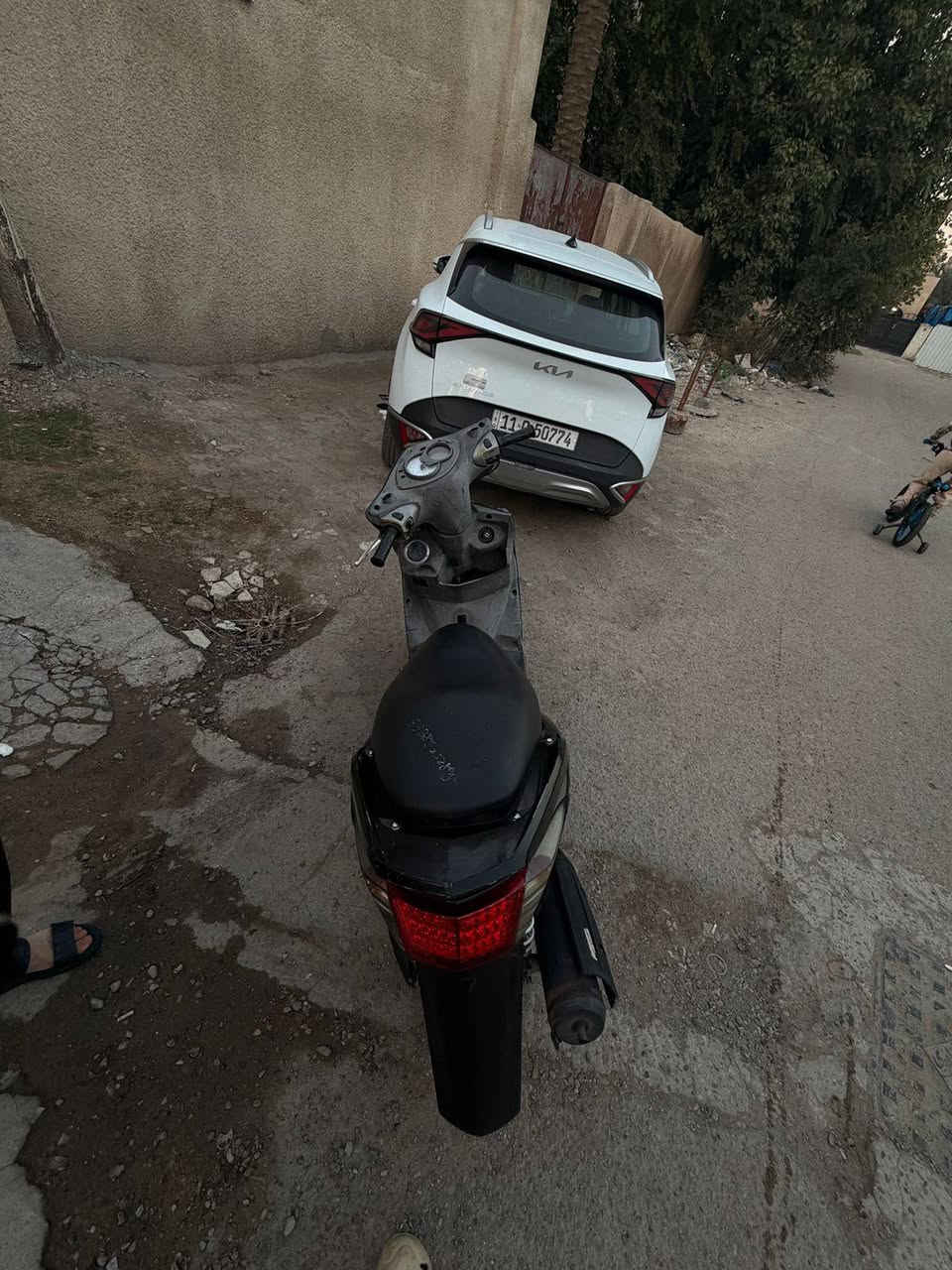 دراجة سكنس فحل نوزل اخت الجديده قبل شكم شهر نزلته من الرمبه للبيع السعر خاص او الاتصال ***********

