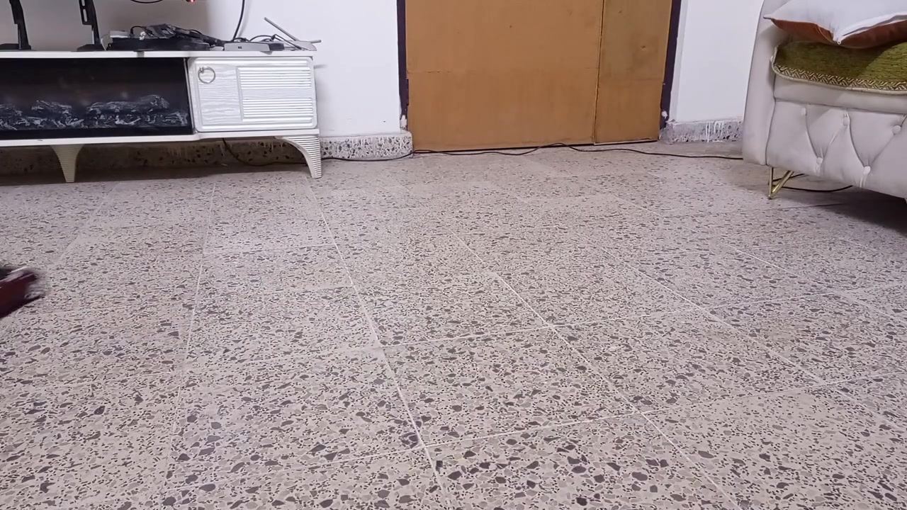 مساء الخير 🌹.. سيارة ميني كوپر عالريموت شركة نيكو المعروفة حجم 1/16 🫨 كلش سريعة و نشطة و نظيفة مثل ما واضح بالفديو المرفق 🔥 ب15000 دينار قفل 🤩


**إذا كنت صاحب هذا الإعلان وتريد حذفه لأي سبب، رجاءا أرسل رسالة إلى الدعم الفني**