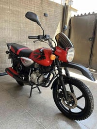 بوكسر جبلي • ٢٠٢٢ • مرقمه