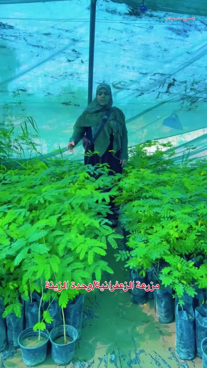 بغداد - الزعفرانية- باب الزراعة- مجاور محطة وقود الزعفرانية


**إذا كنت صاحب هذا الإعلان وتريد حذفه لأي سبب، رجاءا أرسل رسالة إلى الدعم الفني**