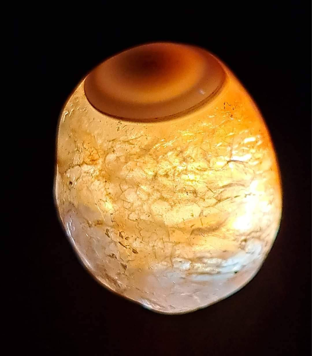 سليماني مختلف خنصرية


**إذا كنت صاحب هذا الإعلان وتريد حذفه لأي سبب، رجاءا أرسل رسالة إلى الدعم الفني**