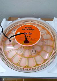 فقاسة • ٣٠ بيضة • غير مستخدمة