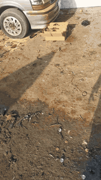 خدمات علي مقابل جسر الطالبيه مجاورليث مستبوشي بلضمان والعمل ***********
