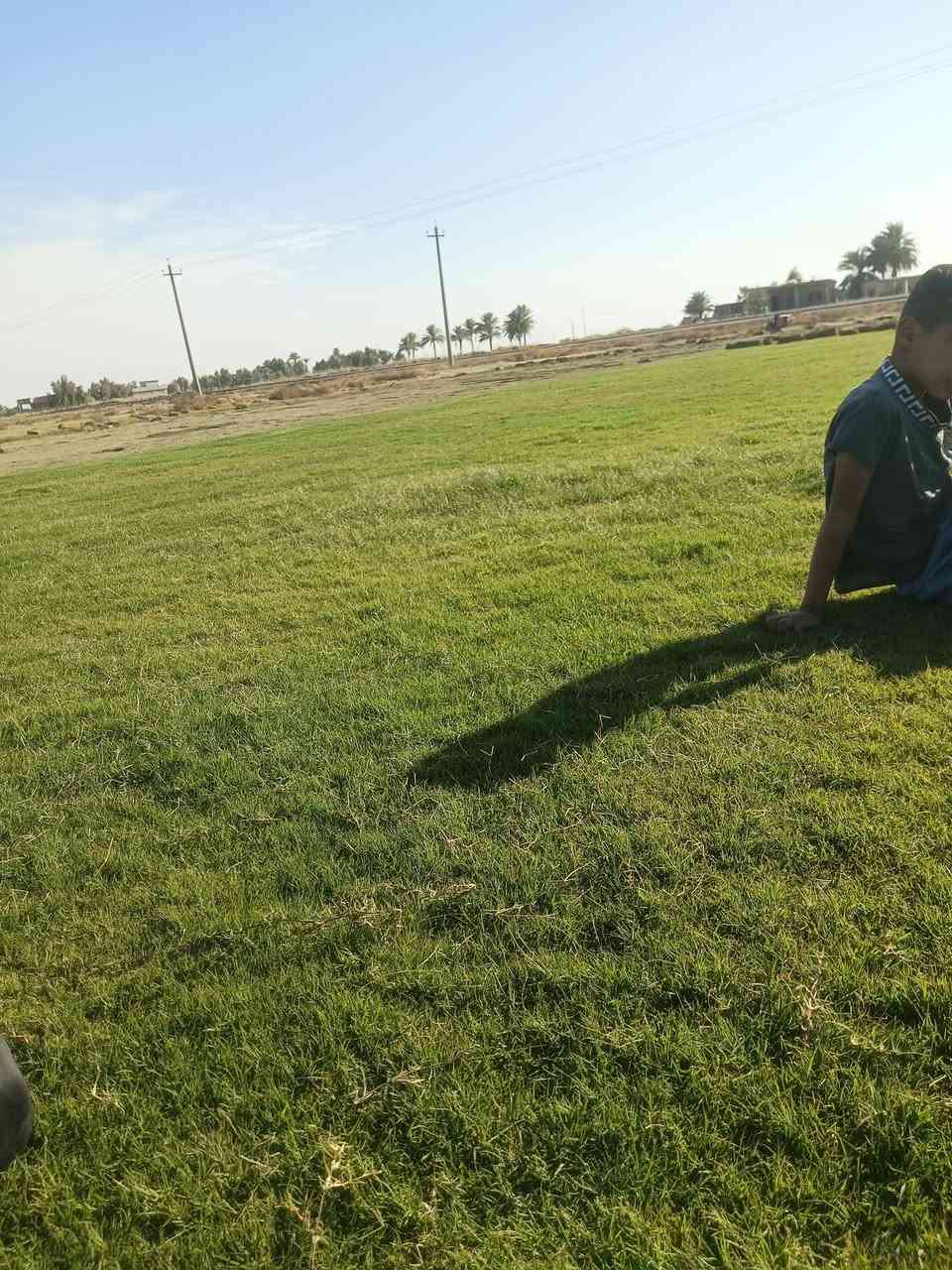 🌳 ثيل طبيعي من أجود الأنواع.. خضرة تدوم وأناقة تبهج! 🌳
مناسب للاستخدام في:
🏡 المنازل | 🌿 الحدائق | ⚽ الملاعب | 🏢 الدوائر | 🏗️ المشاريع الاستثمارية

🟢 أنواع متوفرة لدينا:
فرنسي – إيطالي – أمريكي – هندي – إسباني – إنكليزي
💚 نوعيات ممتازة بأسعار مناسبة جداً
📦 وقابل للتفاوض للكميات الكبيرة

✅ تجهيز كميات كبيرة للمشاتل والملاعب
✅ كادر متخصص بالزراعة والتركيب السليم
✅ نوصل لك لباب البيت، بأسرع وقت!

📞 للحجز أو الاستفسار تواصل معنا الآن
***********
***********
#ثيل_طبيعي #خضرة_دائمة #زراعة_ثيل #ملاعب #مشاتل #أسعار_تنافسية
