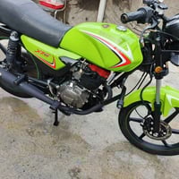 شاينك • موديل 2023