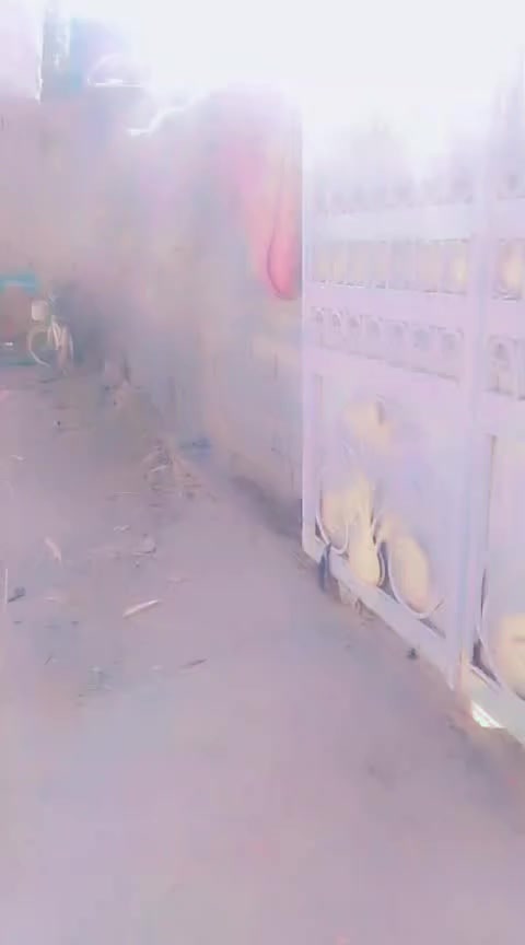 السلام عليكم بيت للبيع طابو زراعي سند 25 مساحته 235م حي المرتضى ال بوجعلول ***********
