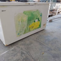 دنكا • حجم ١٨ • شغل وتجميد
