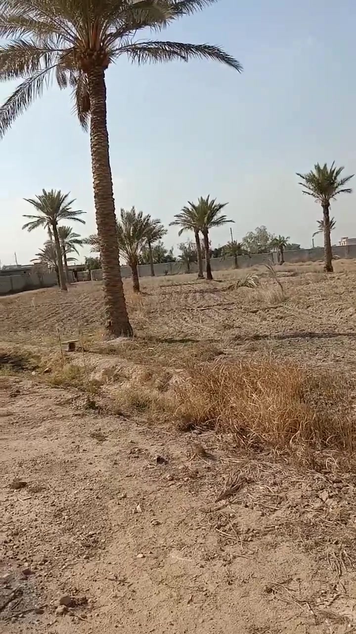 السلام عليكم عندي دونمين للبيع الوجه 41 نزال 118 ملك صرف قريبه عله بسمايه نقه داله شارع الرجاء تبعد عن الشارع 600متر للاتصال رقم الهاتف ***********
