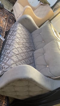 تخم • رايته • للبيع