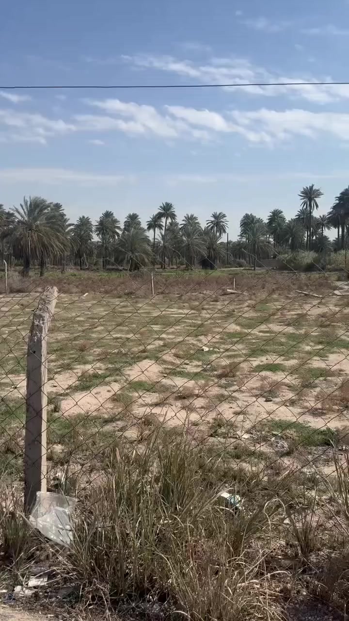 نص دونم للبيع في بغداد المدائن الجعارة  الواجهه ٤٤ متر والنزال ٣٠ للاستفسار الاتصال علئ هاذه الرقم كل التفاصيل اهناء أو السعر هم *********** تبعد عل شارع العام 500متر
