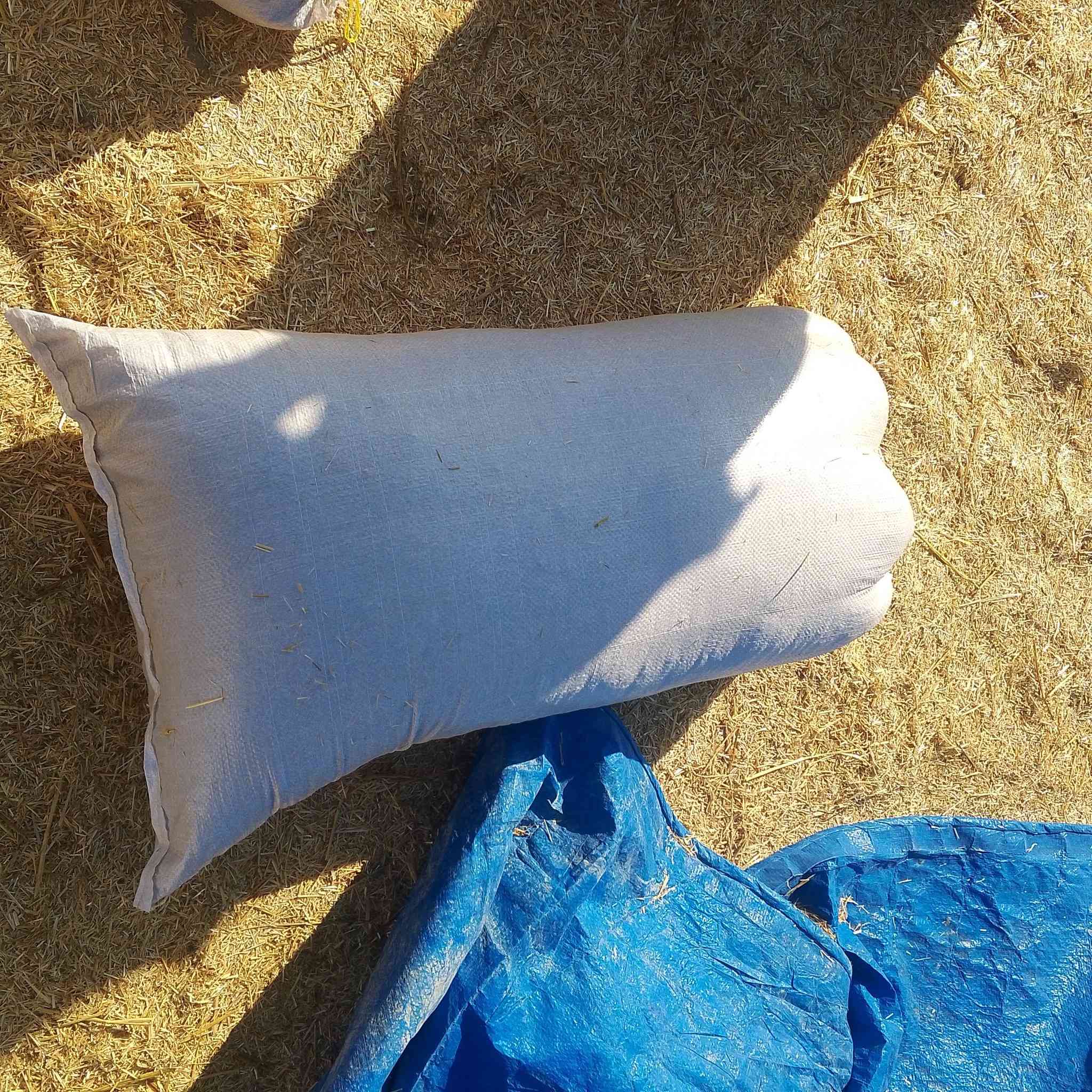 تبن مطحون گفر شرط درجا اولا واصل للبيت تبن ماممطور  ***********///***********
