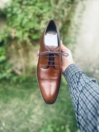 اكسفورد • قياس ٤٣ ونص • قياس ٤٤