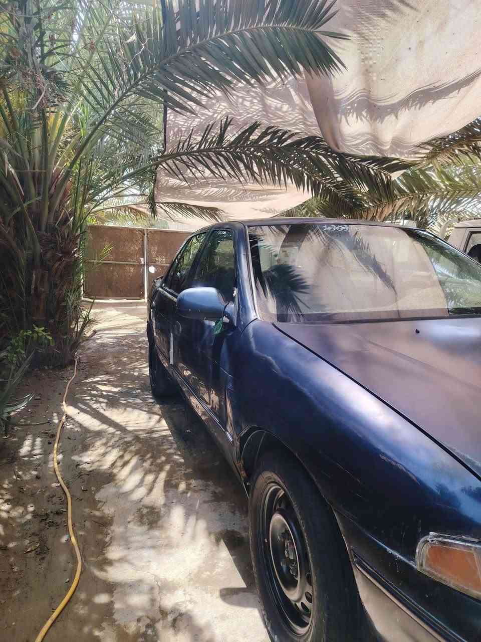 سلام عليكم شباب
سياره كيا سيفيا 
موديل ١٩٩٣ 
رقم نجف نكليزي 
هزه جديد اب اسمي
حدادي ومكينه جدد👌👌
دواخل نضيفه كشنات مدوشمه
كهربيات كله شغالا ليتات زنون 
تخم تاير نضيف ويل مصبوغ
سياره مكفولا كفاله من ضربه ولخياس بس بل دور 
علمن كيره (بس نمرا ثانيه تفلت)👋👋
عنوان نجف كوفه 
رقم ***********
سعر ٢٤وبيه مجال 💲💲
