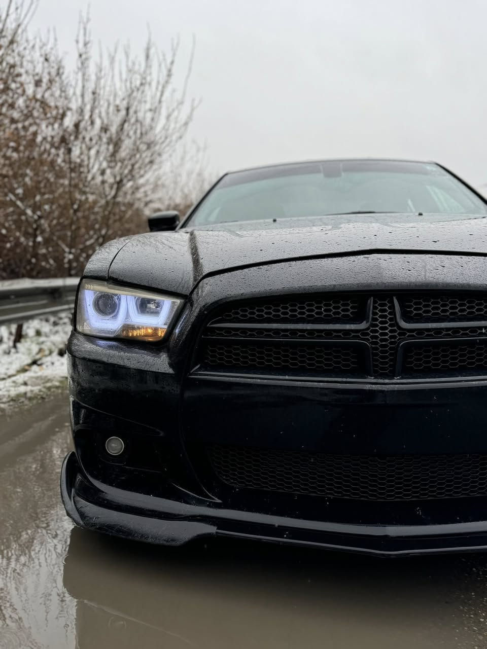 السلام عليكم
جارجر RT 5700 دايتونا اصل 2013  تسلسل 1411/3000 بالعالم 
5 حبات فقط بالعراق من هذا الاصدار 

المواصفات المعروفه فول عدا الفتحة 
شاشة كبيرة 
شفتات 
كشنات مخمل مختم دايتونا 
نظام سماعات beats
السياره بيها هواي مواصفات ومعروفه بهذا الموديل 
عليها ادامة كامله للمكينه 
ولف ريسنك 
بلكات مشلن 
وادامة كامله ماتحتاج اي صرف 
كير ومحرك شرط ترايك للبصرة 
عليها ويل 2023 
طخم تايرات جديد امامي 45 خلفي 75
كت كامل srt بدلته جديد
دعاميه اماميه جديده 
مازدات W مال كصه 
نقوصاتها فقط صدر امامي تحتاج نص عمر انطيك واعاده صبغ الجاملغ الخلفي لان فاطر القديم 
السيارة حادثها كما موضح بالصور بيها 3 قطع صبغ بابين وجاملغ خلفي بدون حادث وجاملغ وبنيد تبديل بدون صبغ بيدي بدلتهن علمود اللون جان مو مطابق 

رقم بغداد هزه وسنويه جدد بأسمي تحويل مباشر 

مكان السياره موصل 
تفاصيل اكثر عن السياره والسعر واتساب واتصال ***********
