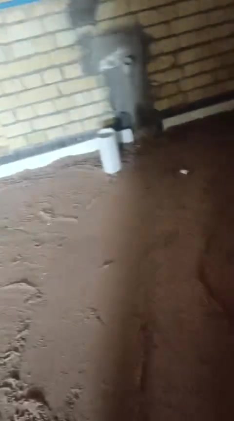 ابو صب اسعار بلاش بلاش ***********
