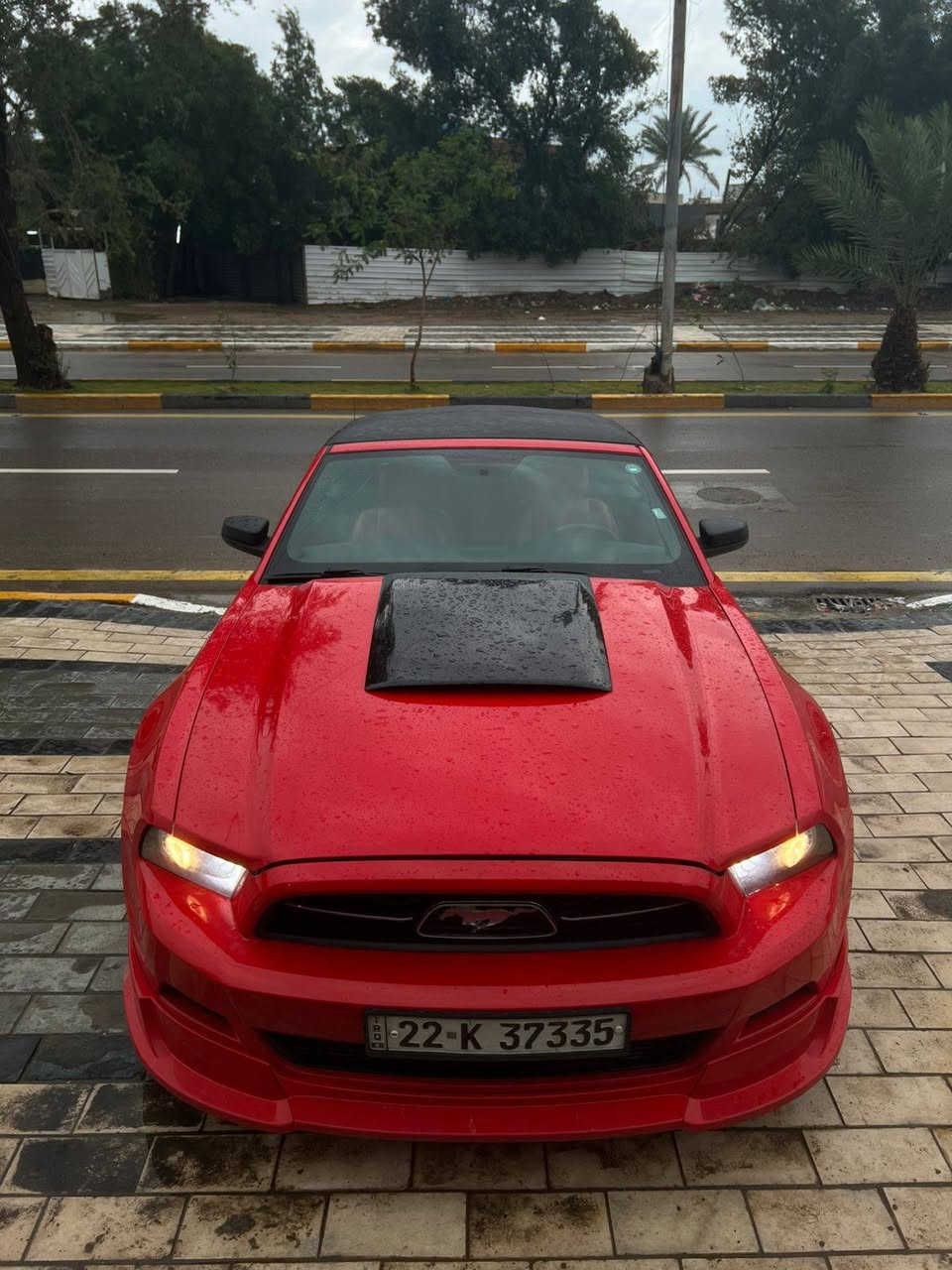 موستنك 2013 للبيع مستعجل 
محرك 6 سلندر 3700
بلادية كولشي كير مكينه اكسل كهربائيات دواخل السياره وحتى الصوت
حادث بيها تبديل فقط بنيد
بدون اي صبغ السياره ✌️ ماعدا البنيد باامريكا 😓 وشوية بالباب اثر حادث ابغداد 
🔹️وياله ويلد اصلي 
🔸️دواخل كلها بلاديه لون احمر
🔹️تايرات تخم جديد 
🔸️باتري جديد 
🔹️صدر خلفي كله جديد 
🔸️منظومة تبريد بلاديه 
🔹️كولشي على وضع الشركة وسليمة 100% وبدون اي نقص 
رقم صاحب سيارة *********** واتس اب فقط 
♦️السعر تواصل واتس اب او الاتصال
مكاني بغداد المنصور
