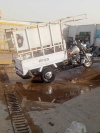 ستوته • ٢٠٠٩ • كربلاء