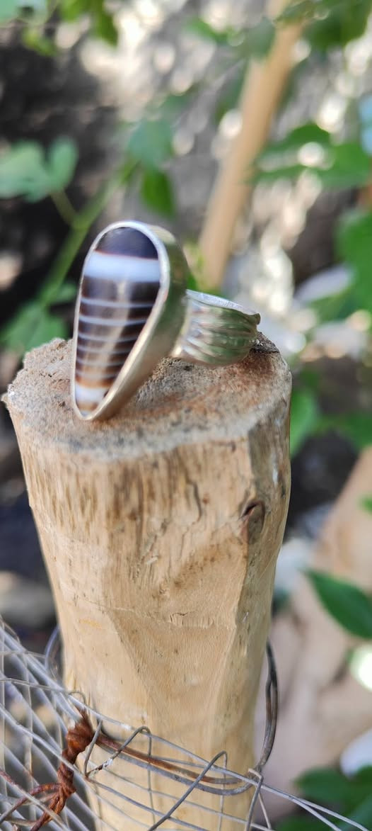 اللهم صل على محمد وال محمد
((تبارك الرحمن)) ((جزعه يمانيه قديمه سعر خاص ))


**إذا كنت صاحب هذا الإعلان وتريد حذفه لأي سبب، رجاءا أرسل رسالة إلى الدعم الفني**