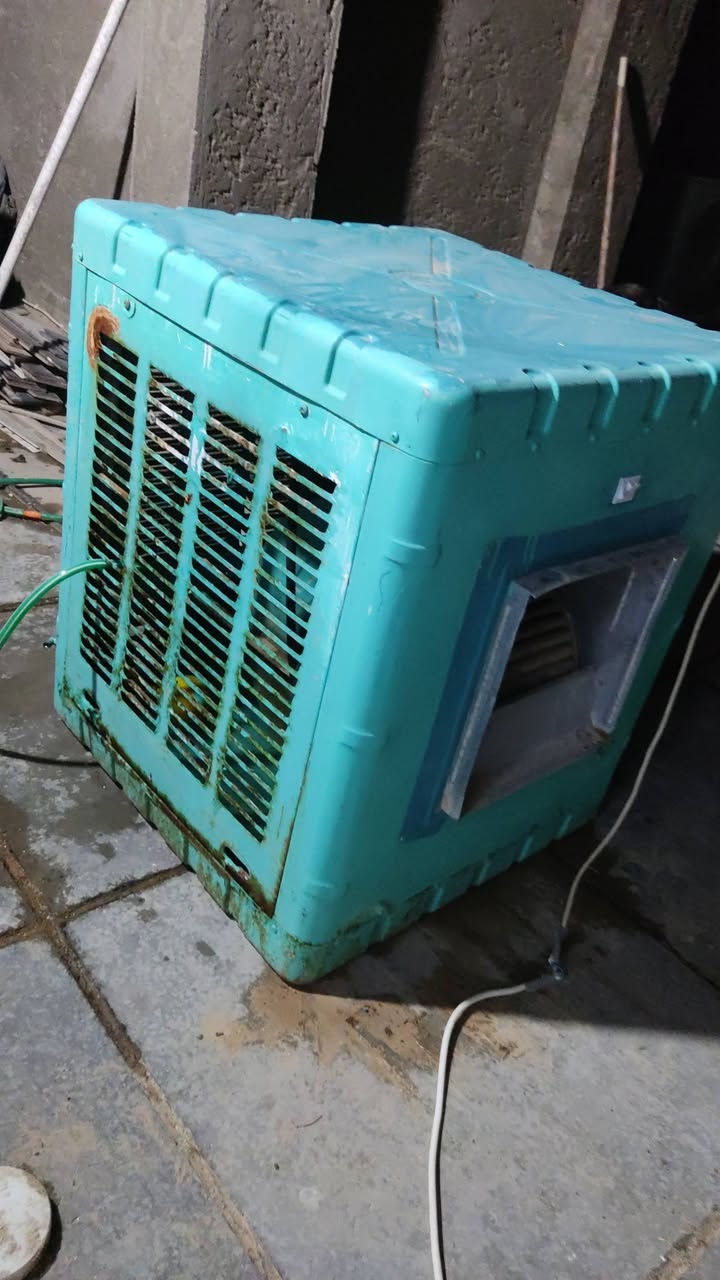 مبرده شغاله للبيع السعر 80الف


**إذا كنت صاحب هذا الإعلان وتريد حذفه لأي سبب، رجاءا أرسل رسالة إلى الدعم الفني**