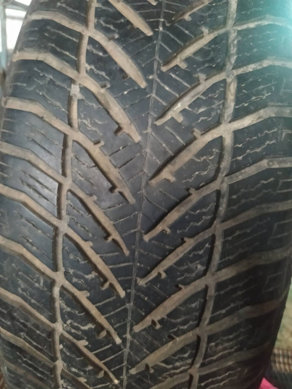 موجود الان 
عجل كوشوك جديد مش ماشي على أرض 
المواصفات مصورة موجوده على العجل 
بزرته لسا فيه 
التواصل خاااص للسعر 
العنوان غزة تفضل تفرج واشتري


**إذا كنت صاحب هذا الإعلان وتريد حذفه لأي سبب، رجاءا أرسل رسالة إلى الدعم الفني**