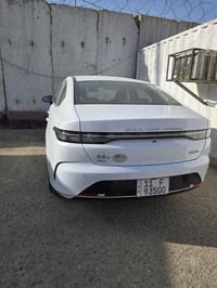 بي واي دي دستروير • ٢٠٢٥ • ٦٠٠٠ كم