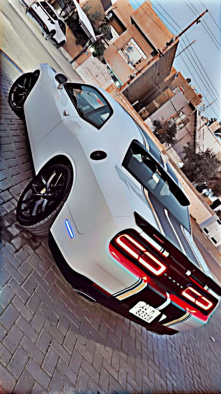 السلام عليكم جالنجر 21Gt حادثها بنيد فقط بدون ايرباك وطلع بيها من امريكا 3 قطع صفحة السايق ومصلحة بامريكا السيارة ماشية 40 مايل جديدة من كل شي تخم تاير جديد صدر جديد دهن كير وفلاتر  سنوية وهزة كلة جديدة  برغي نقص ما بيها مكينة وكير وتبريد على وضع الشركة مكاني بغداد العامرية السعر 178$وبي مجال بسيط
***********
