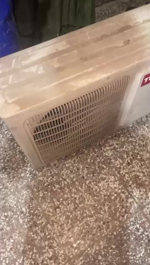 3 سبالات نوع توست طن
سبلت طنين 

كلهن شغالات وعله فحص 

سعرهن شلعتهن 750 الف


**إذا كنت صاحب هذا الإعلان وتريد حذفه لأي سبب، رجاءا أرسل رسالة إلى الدعم الفني**