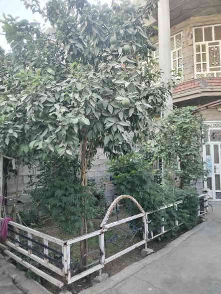 دار للبيع منطقة النور خلف الصناعة الاولة مساحة البيت 210واجها 7النزال
25 سند 25 زراعي طابو استقبال ومطبخ صالة غرفة قاط الثاني 
نفس الجوة الصطح كاشي الاسفسار على الرقم *********** 85 وبي مجال سعر
