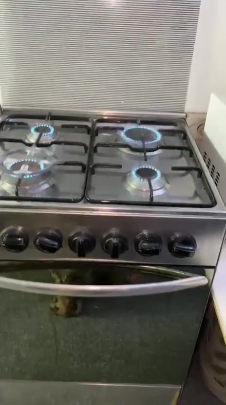 طباخ ستيل مستعمل شهر نضيف يلمع
سعره 200 
ناصرية مركز


**إذا كنت صاحب هذا الإعلان وتريد حذفه لأي سبب، رجاءا أرسل رسالة إلى الدعم الفني**