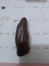 اركي́لة • سلطانية • شكل طلقة