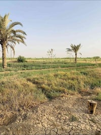 🌾 أرض زراعية للبيع 🌾 📍 العنوان: بغداد – الدورة – عرب جبور – الزنبرانية...