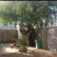 ابو خصيب ابو جوزي • طابو زراعي • ٣٠٠م