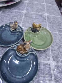 منافض • انكليزيه • اصليه