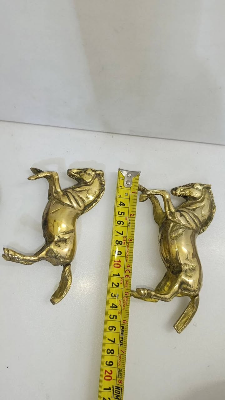 خيول ثنين نحاس
سعرهم 20


**إذا كنت صاحب هذا الإعلان وتريد حذفه لأي سبب، رجاءا أرسل رسالة إلى الدعم الفني**